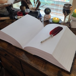 May include: A large, open book with blank pages and a red and silver feather quill pen resting on the right page.
