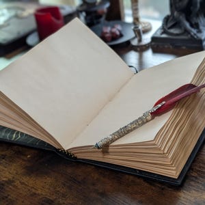 May include: An open, antique-style journal with aged paper pages. A red and silver quill pen rests on the right side. The journal has a black cover with a decorative pattern. The scene is set on a dark wooden surface.