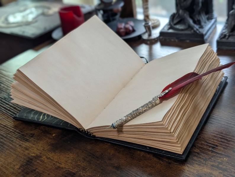 May include: An open, antique-style journal with aged paper pages. A red and silver quill pen rests on the right side. The journal has a black cover with a decorative pattern. The scene is set on a dark wooden surface.