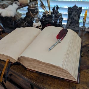 May include: An open, aged-looking book with thick, cream-colored pages. A decorative quill pen with a red feather and silver-colored metal accents rests on the right page. The book has a dark brown leather cover and a black spine.