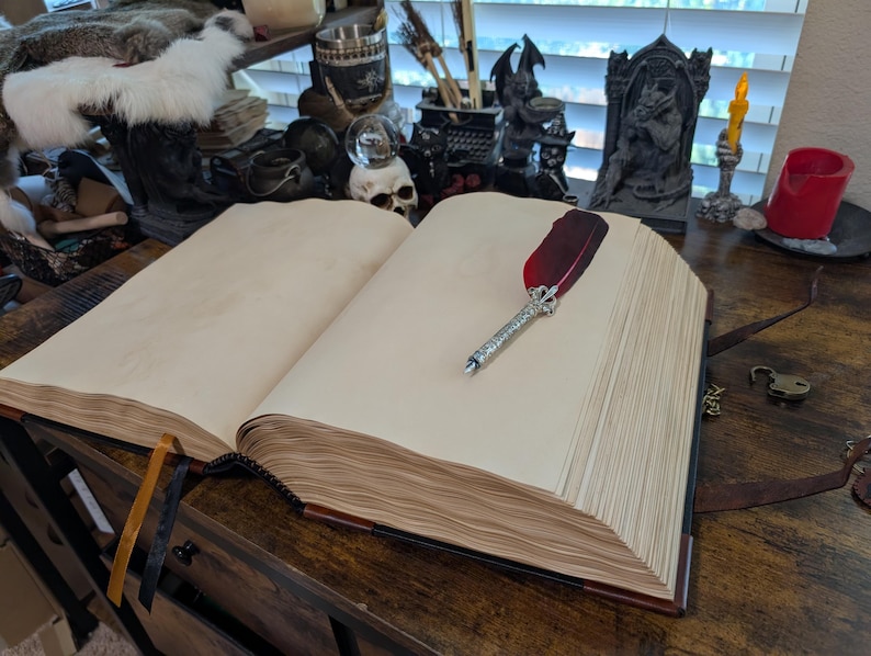 May include: An open, aged-looking book with thick, cream-colored pages. A decorative quill pen with a red feather and silver-colored metal accents rests on the right page. The book has a dark brown leather cover and a black spine.