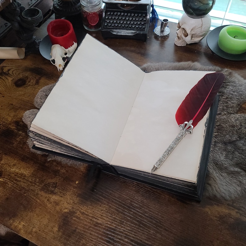 May include: An open, blank journal with aged paper and a black cover rests on a wooden surface. A decorative quill pen with a burgundy feather and silver filigree is placed on the right page. The scene has a gothic or fantasy theme.
