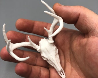 （タイムセール）鹿の頭骨 置物 2025年最新】鹿の頭蓋骨の人気アイテム - メルカリ