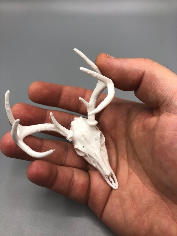 白い鹿の頭骨 インテリアアート 3Dプリントされたミニ鹿の頭蓋骨 - Etsy 日本