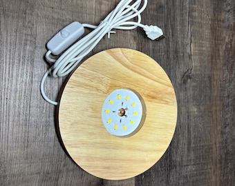Base de lámpara de madera grande de 6” con luz LED incorporada + adaptador USB
