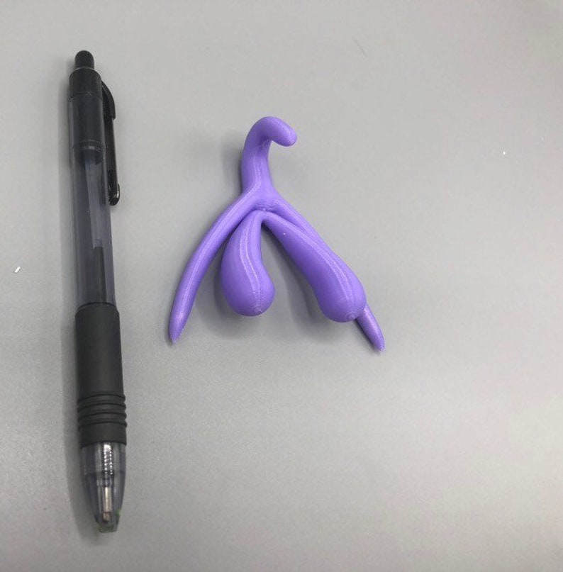 3d Printed Clitoris Model Full Size Anatomical Model Of Clitoris