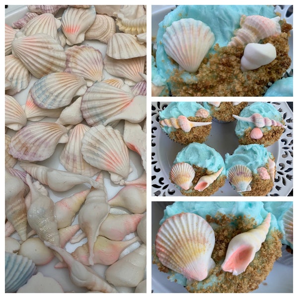 24 Tiny Edible Seashell Cupcake Decorations