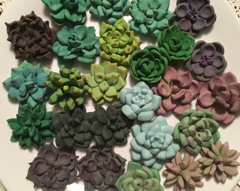 24 Sukkulenten Cupcake Toppers (2 dutzend)