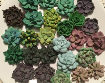 24 Succulent Cupcake Toppers (2 dozen)