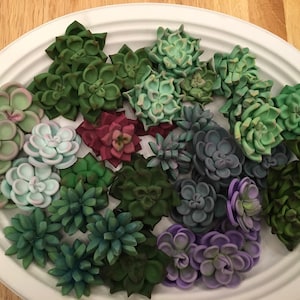 36 Succulent Cupcake Toppers (3 dozen)