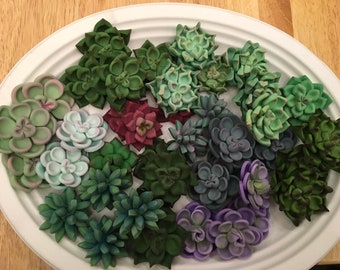 36 Succulent Cupcake Toppers (3 dozen)