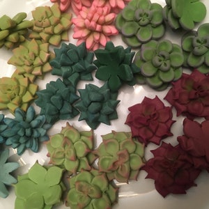 24 Mini Succulent Cupcake Toppers (2 Dozen) Cake Pop Topper