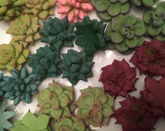 24 Mini Sukkulenten Cupcake Toppers (2 Dutzend) Cake Pop Topper