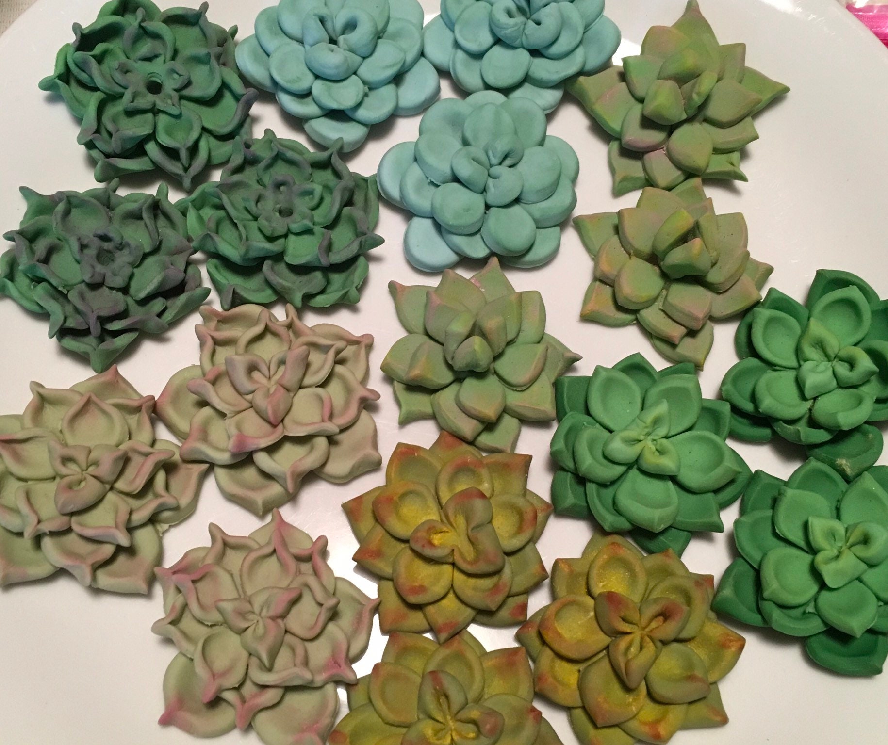 12 Succulent Cupcake Toppers 1 dozen | Etsy
