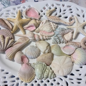 Puede incluir: Una bandeja ovalada de cerámica blanca con un borde de celosía que contiene una colección de varias conchas marinas, estrellas de mar y una figura de caballito de mar. Los artículos presentan tonos pastel suaves de rosa, crema, beige y verde claro.