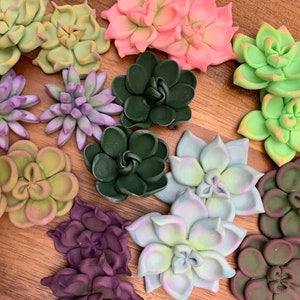 12 Succulent Cupcake Toppers  (1 dozen)