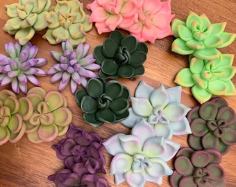 12 Succulent Cupcake Toppers  (1 dozen)