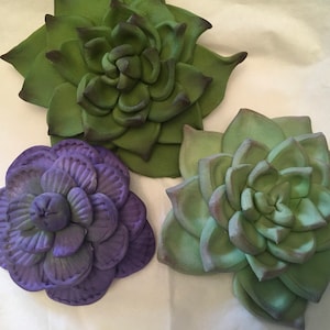 3 Large Succulents- Set of Three