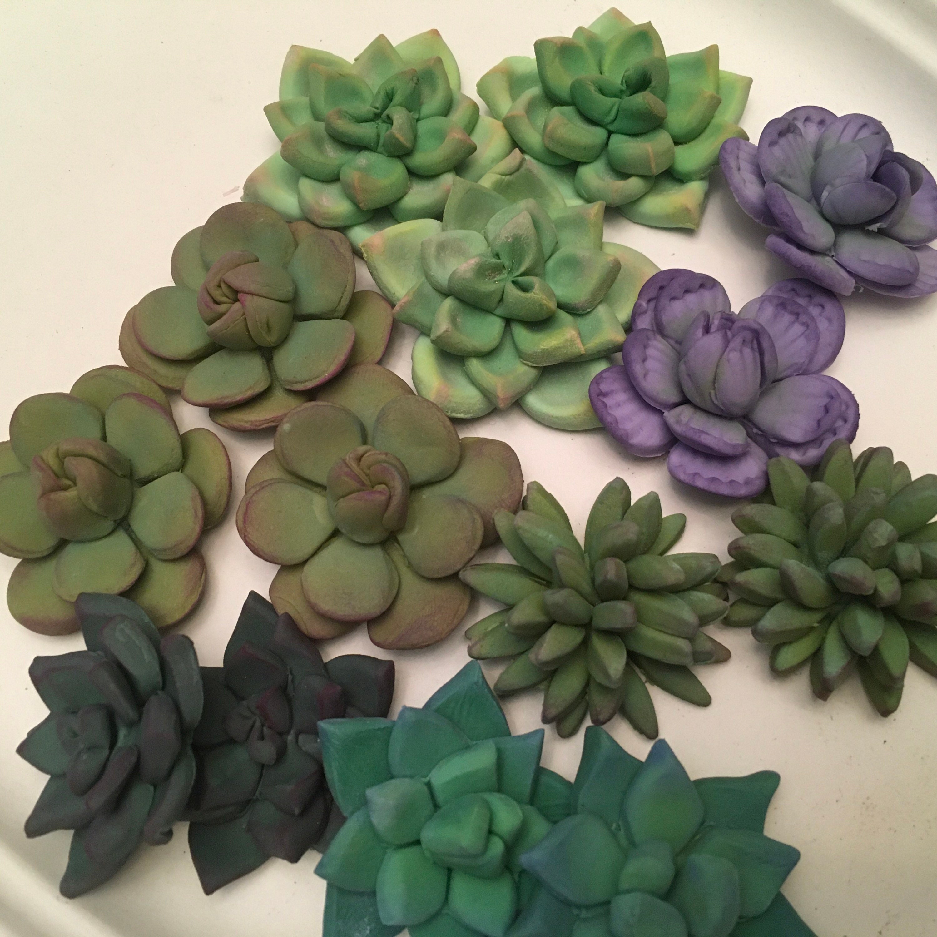 12 Succulent Cupcake Toppers 1 Dozen Etsy