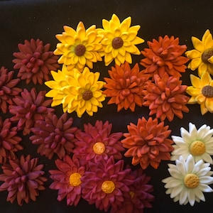 12 Gumpaste Cupcake Toppers Chrysanthemums & Daisies