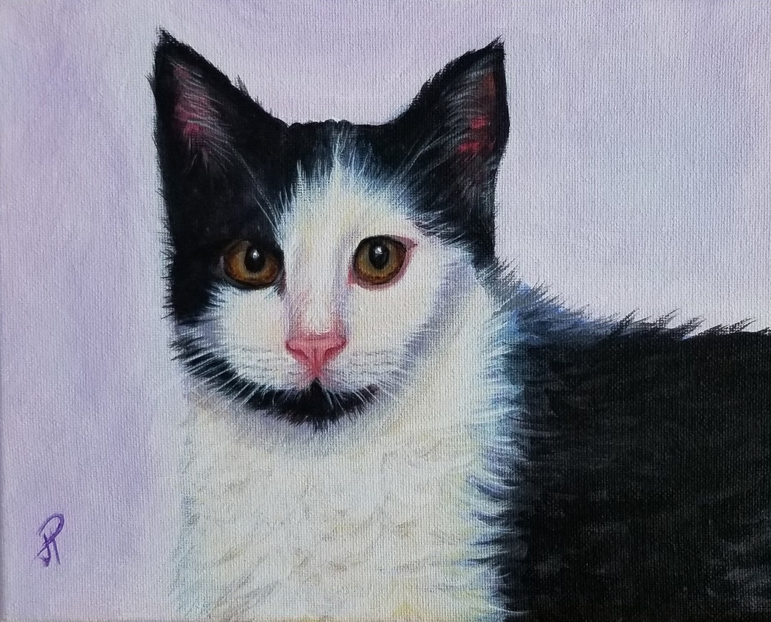 Tuxedo Cat Painting, Black and White Cat, Original Cat Paintings, Cat ...