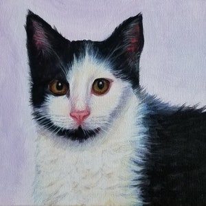 Tuxedo cat painting, black and white cat, original cat paintings, cat