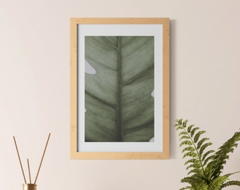 Planten van het jaar