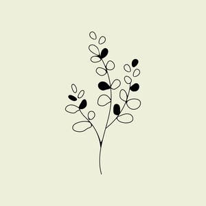 May include: A simple black line drawing of a small plant with rounded leaves and stems.