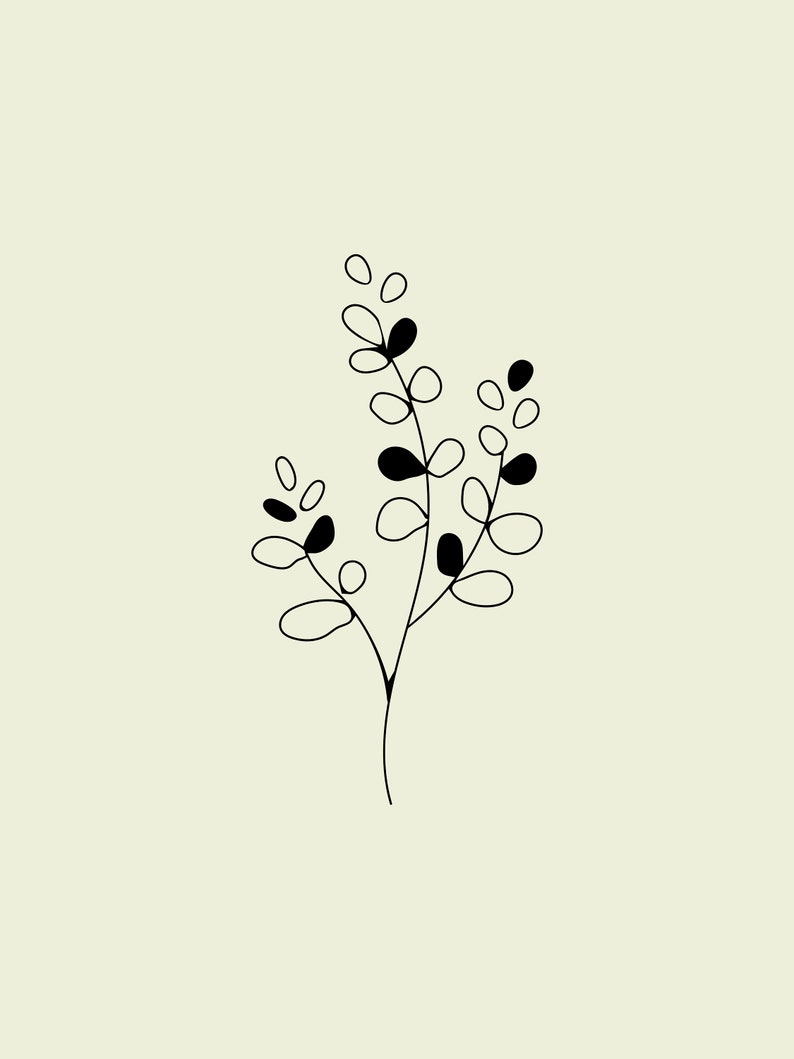 May include: A simple black line drawing of a small plant with rounded leaves and stems.