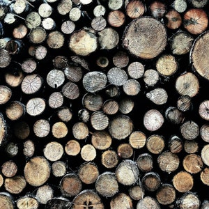 May include: A close-up of a stack of round wooden logs, arranged in a random pattern. The logs are various shades of brown and gray, with some showing the natural grain of the wood.