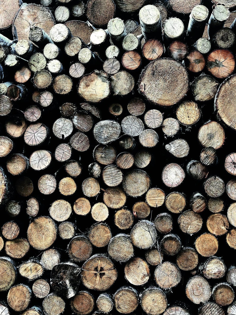 May include: A close-up of a stack of round wooden logs, arranged in a random pattern. The logs are various shades of brown and gray, with some showing the natural grain of the wood.