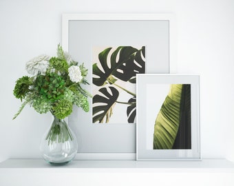 Plantaardig