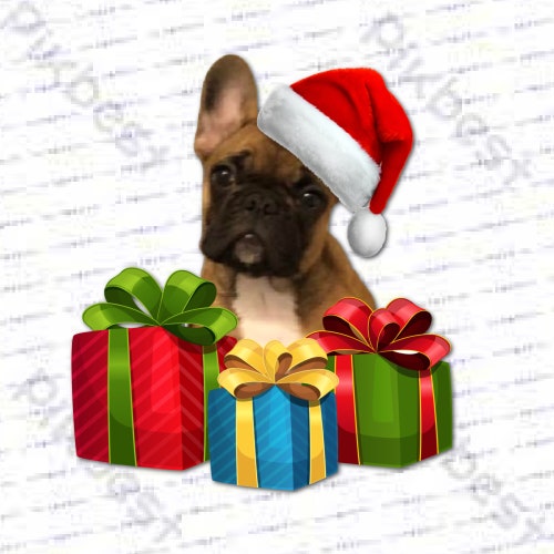 Merry christmas french bulldog