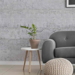 May include: A modern living room scene featuring a gray sofa, a small white side table with a potted plant, and a woven pouf. The background is a textured gray wall, and the floor is tiled. The room has a minimalist aesthetic.
