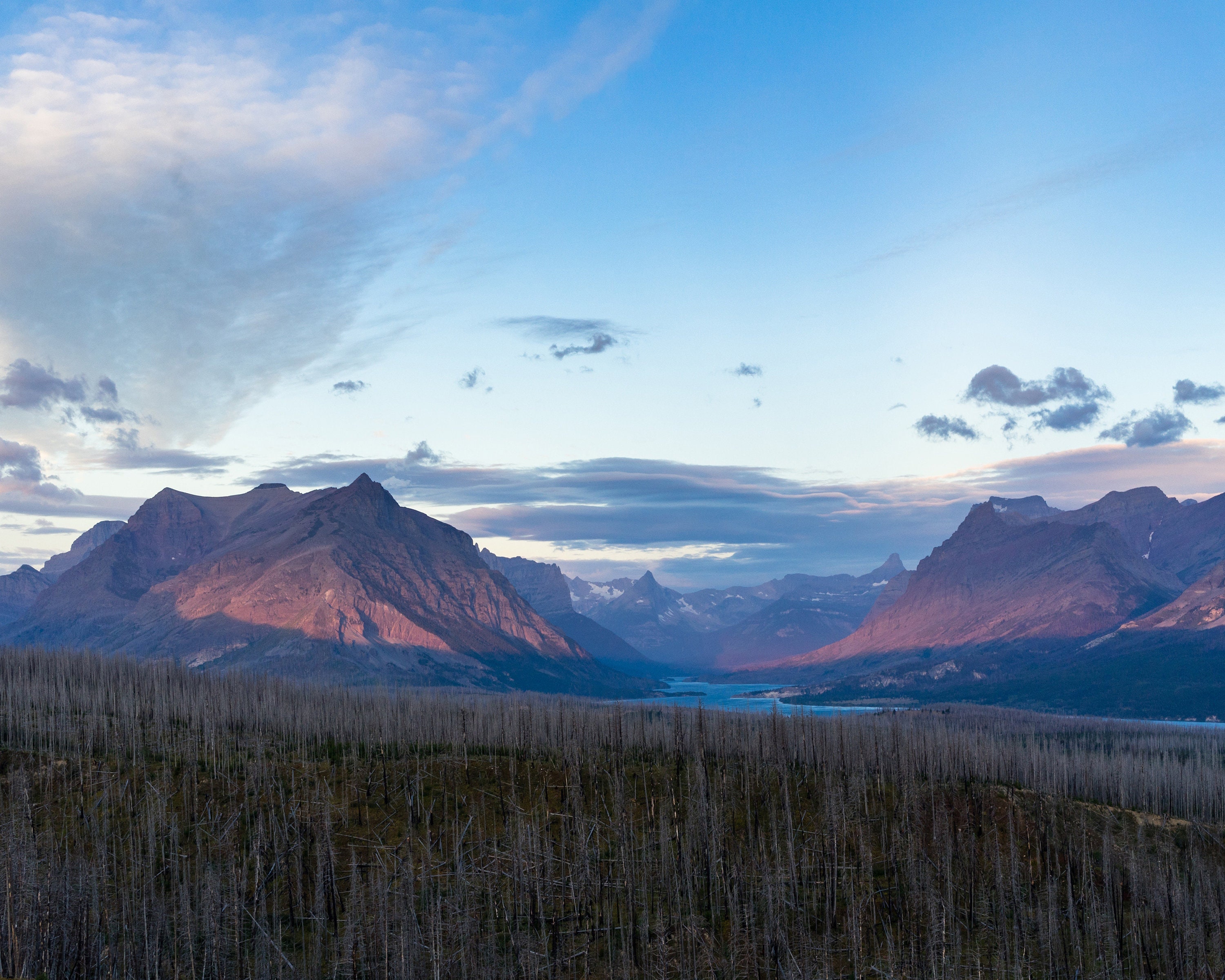 Mountains removable wallpaper Mountains Trees art wall decor | Etsy