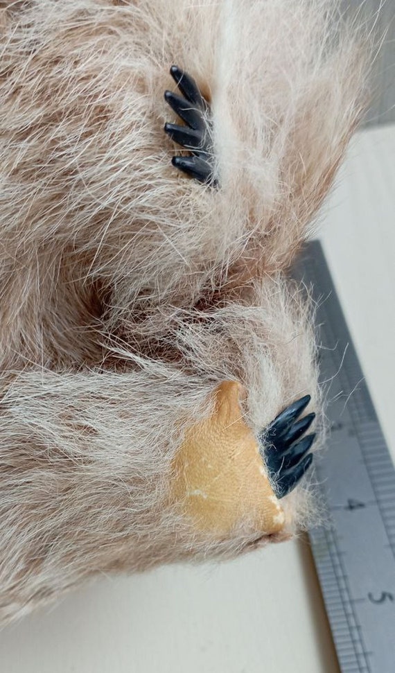 Vintage Musical Koala Bear Australia Souvenir Kangaroo Fur - Etsy