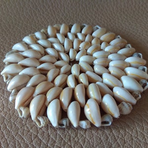 Vintage Natural sea shells Table Mat Craft shells decorative placemat Country style image 2