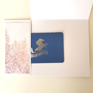 Vale-presente, cartão de bolso