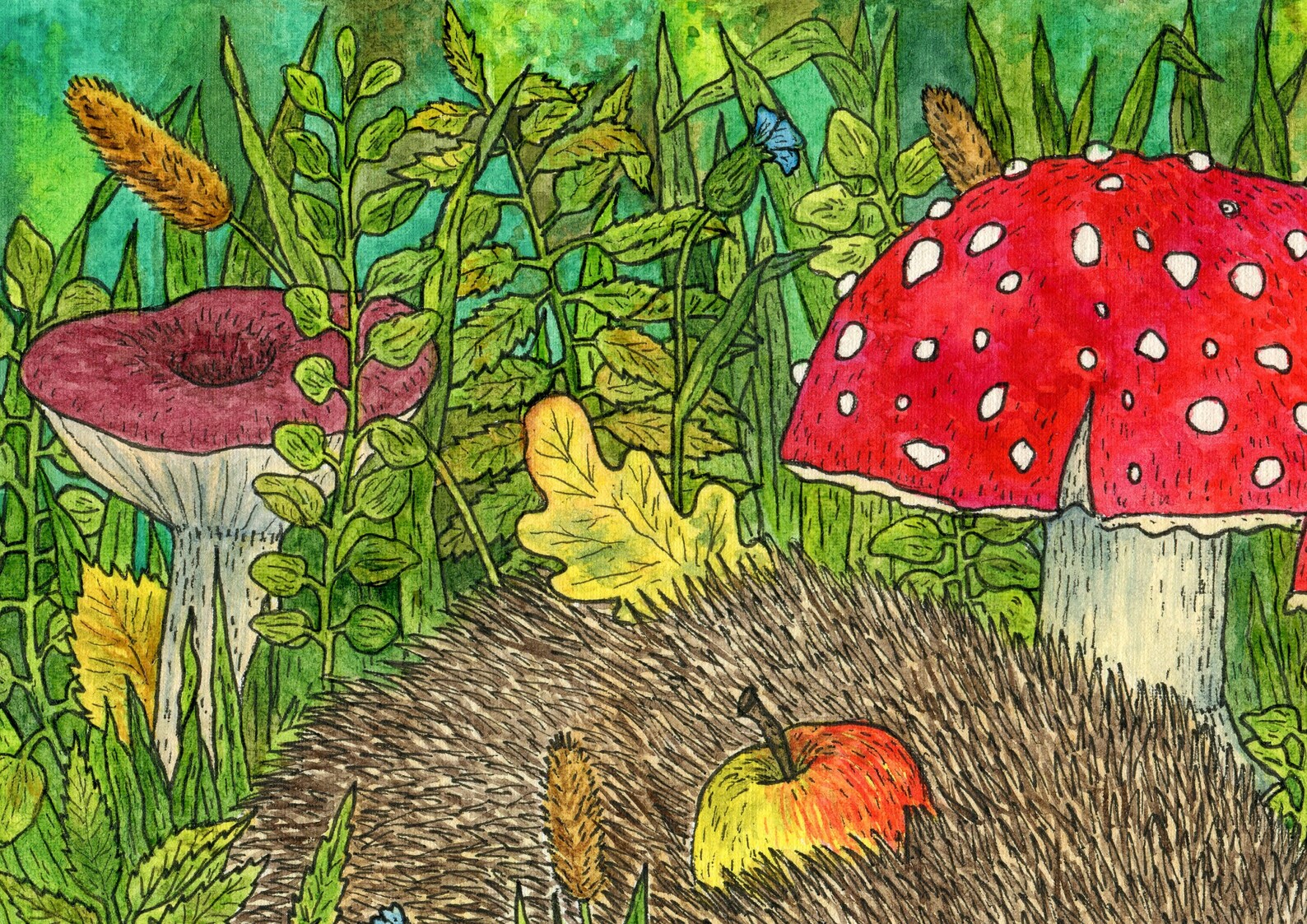 Hedgehog print woodland nursery decor woodland animals Etsy