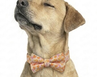 Orange Hearts Over-the-collar Dog Bow, bowtie, water resistant, stain resistant, elastic back