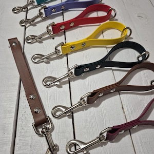 Puede incluir: Siete correas para perros en diferentes colores, incluyendo turquesa, morado, rojo, amarillo, negro, marrón y burdeos. Cada correa tiene un clip plateado y está hecha de un material duradero similar al caucho.