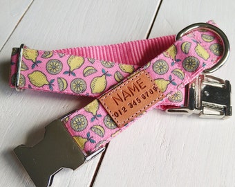 STAIN RESISTANT lemons dog collar on pink with personalized name tag option and metal or YKK buckle choice, 2 in 1, tagless