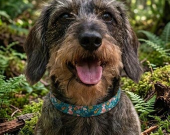 Forest Foxes Green Colorway Dog Collar: Stain Resistant Canvas, Water Resistant, Optional Personalized Attached ID Tag, Tough