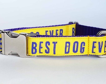 STAIN RESISTANT dog collar with Best Dog Ever writting, personalized tag option and metal or YKK buckle choice, tagless, 2 in 1 product