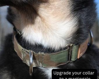 Puede incluir: Primer plano de un collar de perro de camuflaje con un anillo en D plateado. El collar está hecho de un material duradero y tejido. El texto "Upgrade your collar to a martingale" es visible en la parte inferior de la imagen.