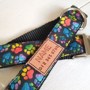STAIN RESISTANT multi color paw print dog collar, rainbow paws, personalized tag option, metal or YKK buckle choice, tagless, 2 in 1 product image 4