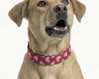 XO Hearts Dog Collar, Pink, Red, Stain Resistant, Water Resistant, Optional Personalized Tag, Buckle Options