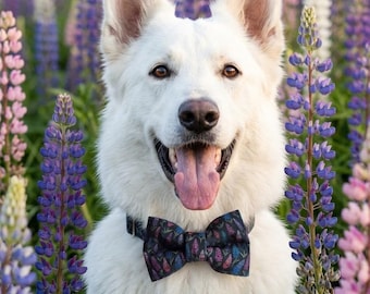 Lupins on Black Over-the-collar Dog Bow, bowtie, water resistant, stain resistant, elastic back