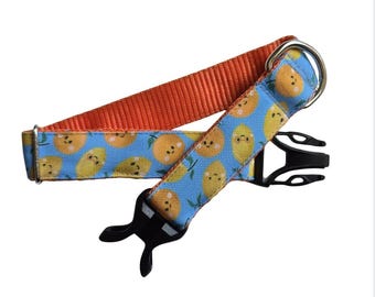 Citrus Blast Dog Collar: Stain Resistant, Personalized ID Tag Option, Durable, Easy clean, oranges, lemons