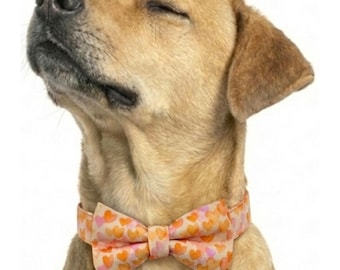 Orange Hearts Over-the-collar Dog Bow, bowtie, water resistant, stain resistant, elastic back